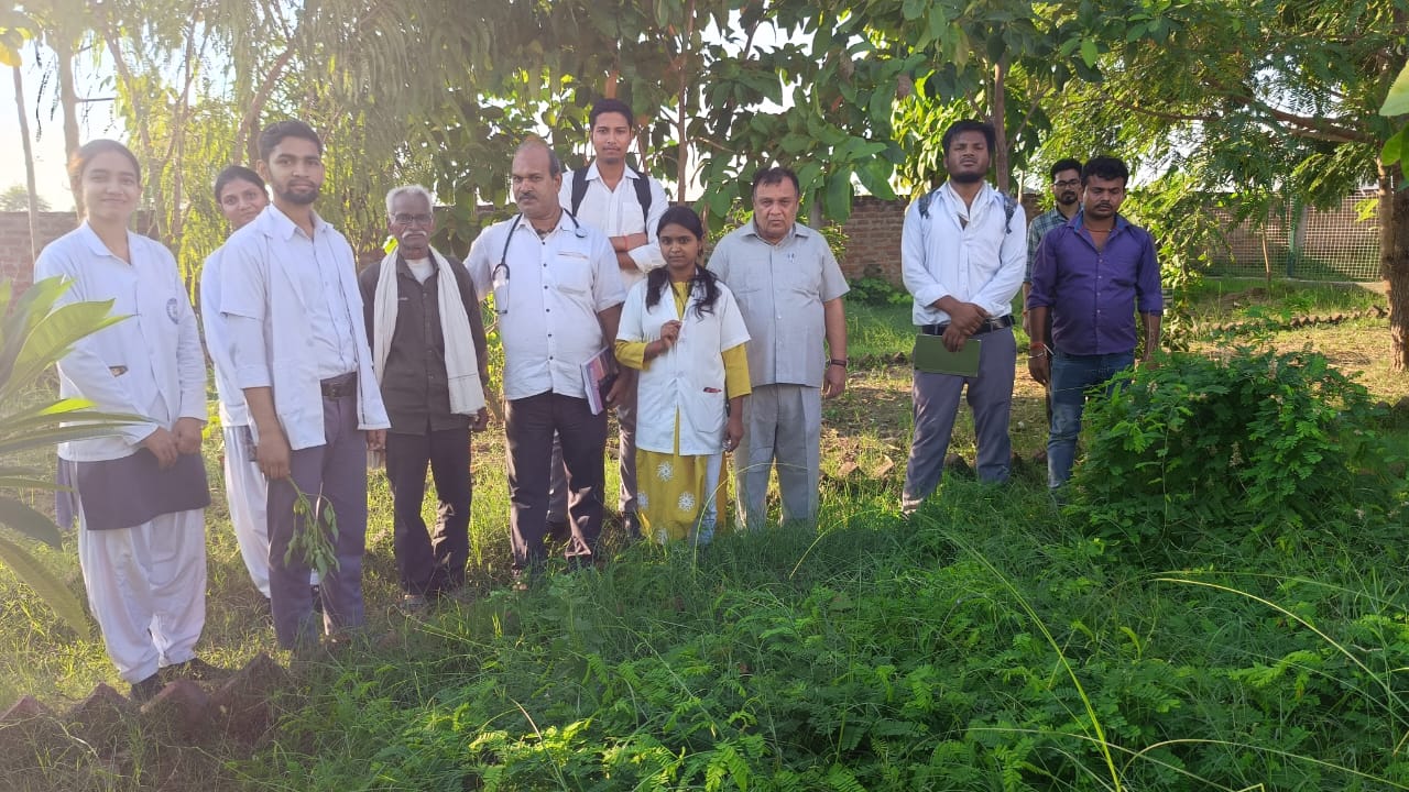 Neem Plant