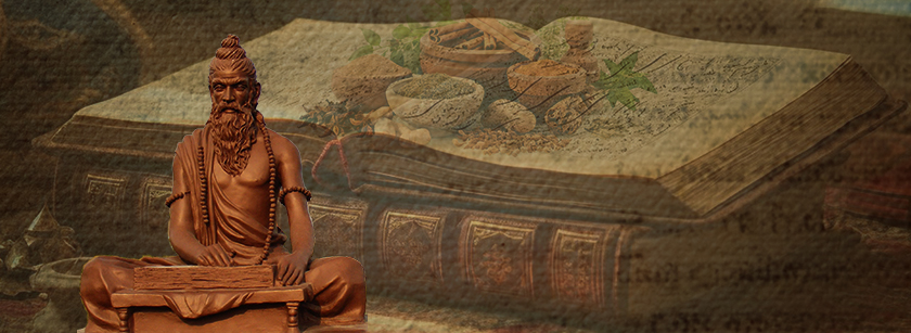 Sanskrit Language Learning